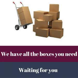backload services 1