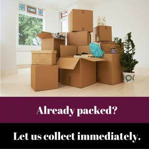 backload services 9
